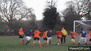 IMG_1676.gif