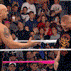 17844.gif