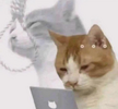 Screenshot_20250502-232939.png