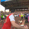 IMG_6012.gif IMG_6012.gif
