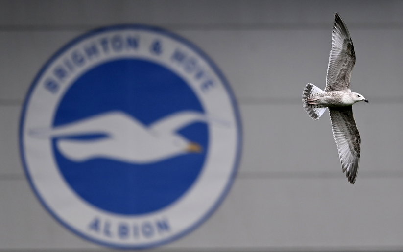 Image for Q&A With A Brighton & Hove Albion Supporter