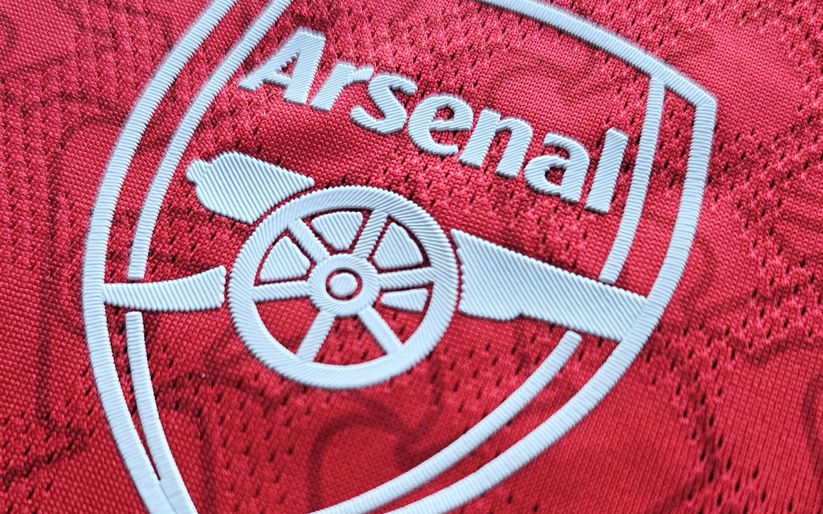 Image for The Thrill Ride Of Being An Arsenal Fan